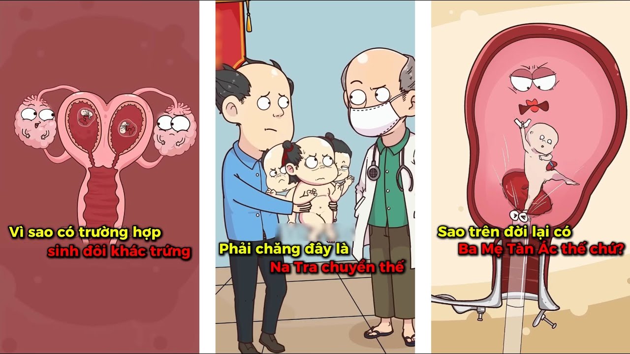 Tổng Hợp Phim Hoạt Hình Đầu Hói: Những Kiến Thức Bổ Ích Về Sức Khỏe và Thai Kỳ