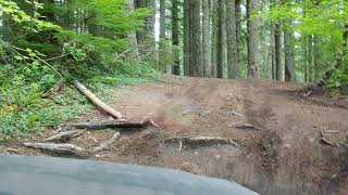Elbe hills 2020