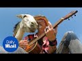 Heartwarming moment rescue donkey smiles as music is played to her