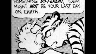 The Political Philosophy of Calvin and Hobbes