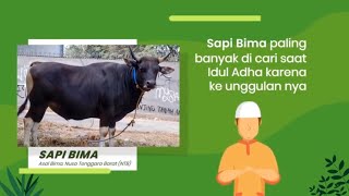 Video Promosi Hewan Qurban Animasi | Bazaar qurban