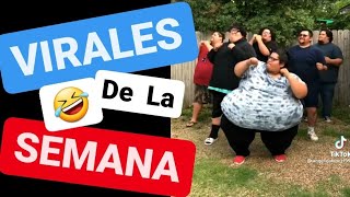 VIRALES DE LA SEMANA #6 🤣 no preguntes, solo disfrútalo 😉