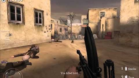 Call of Duty 2 Bot Match 2