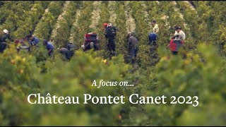 Château Pontet Canet 2023: Crazy horses