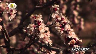 Uçhisar Belediyesi Tanıtım Filmi-2