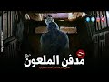 قصر ملعون بيلعن كل اللى بيدخلة ومقبرة كانت سبب هلاك وفزع على البلد كلها تجميعة 80 رعب رامي سمك 
