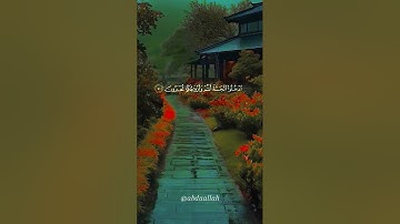 سورة الزخرف القارئ #ماهر_المعيقلي #فلسطين#السعودية#الجزائر#المغرب#مصر#تونس#ليبيا#موريتانيا#اكسبلور