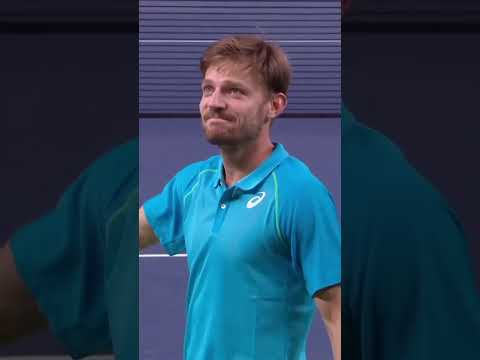 🫣😬 Zverev vendange 3 smashs #shorts #tennis #atp #zverev