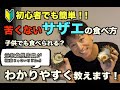 【料理】初心者でも簡単！苦くないサザエの食べ方！子供でも食べられる！？