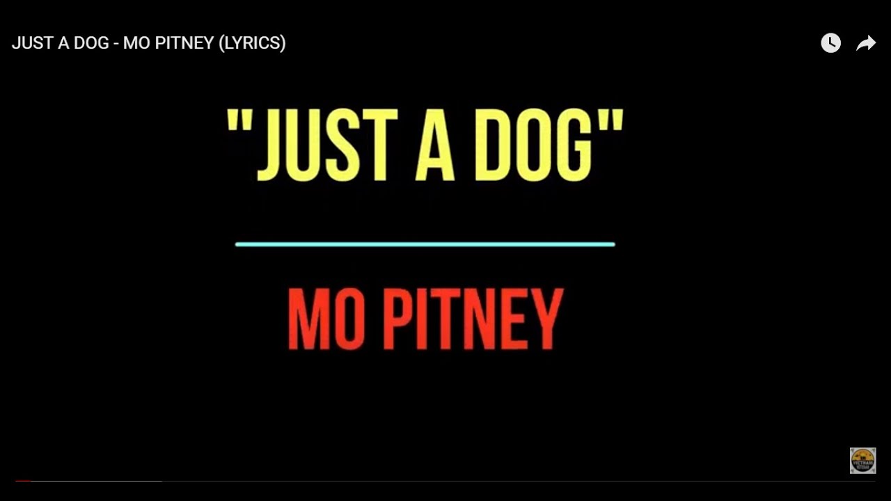 "JUST A DOG" - MO PITNEY (LYRICS VIDEO) - YouTube