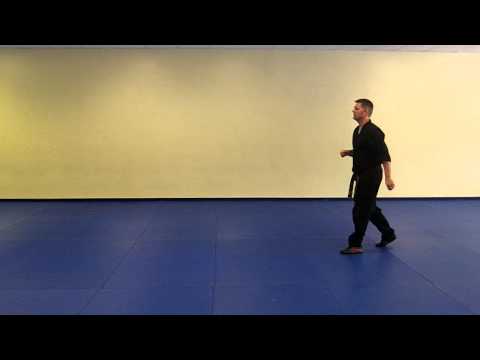 Kevin Waldschmidt - Kicking Combinatiion #13 Jump Inside Round