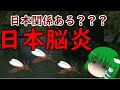 【ゆっくり解説】日本関係あるの!? 感染症解説 『日本脳炎』