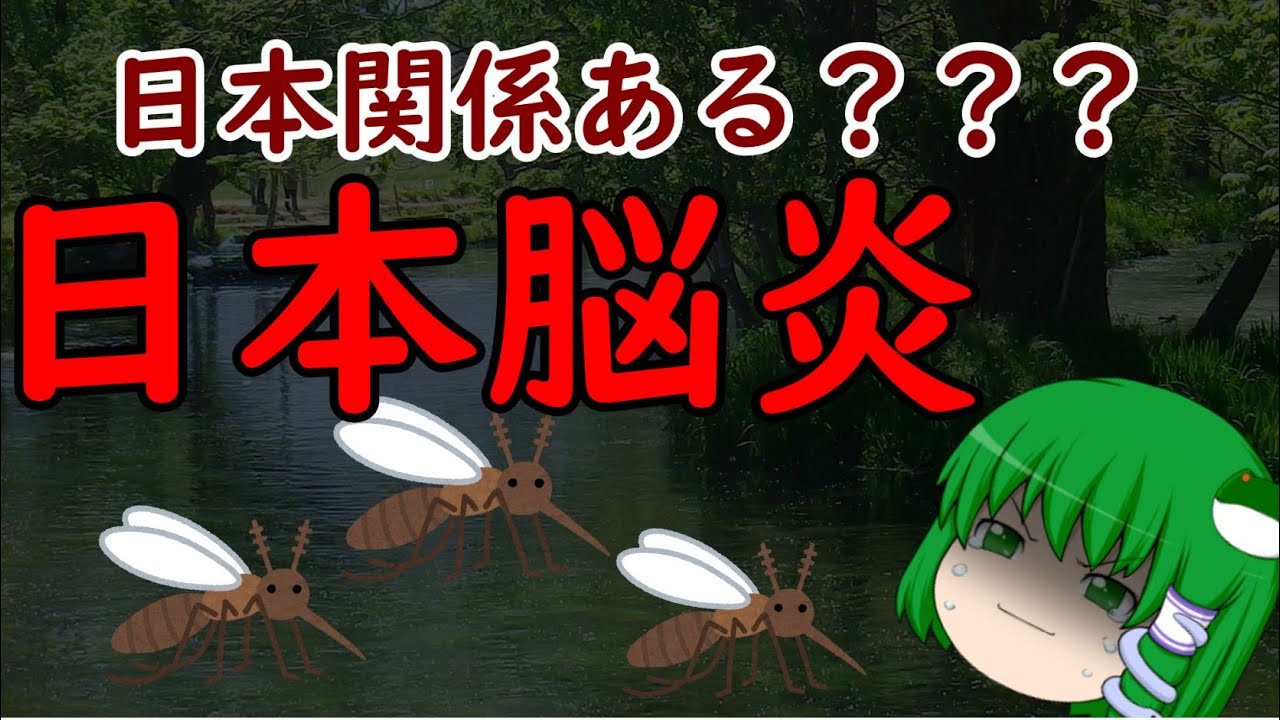 【ゆっくり解説】日本関係あるの!? 感染症解説 『日本脳炎』
