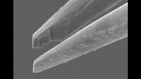 Microgripper Plug-in for the MM3A-EM