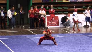 Male Changquan - Seungjae Cho