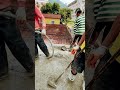 Stop Making These 5 Common Mistakes #shorts #ytshorts #viral #trending #column #construction #civil