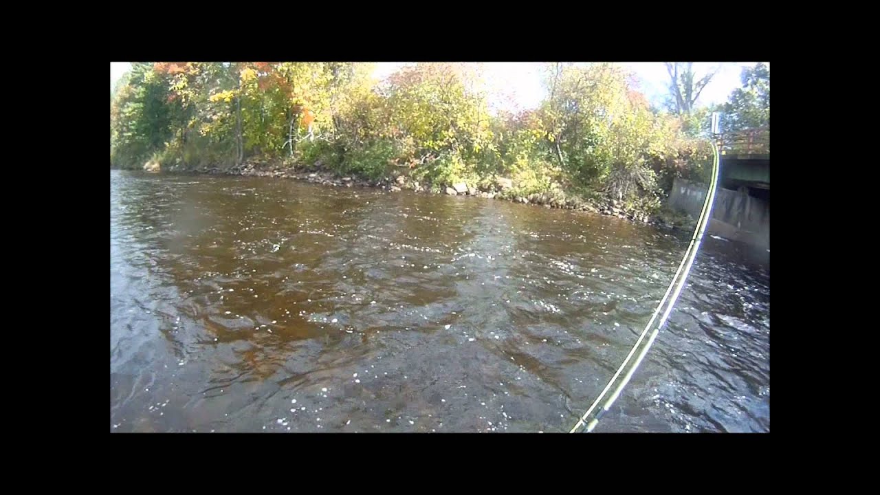Fall Excursion to the Salmon River in Malone YouTube