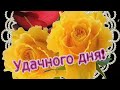 🌹ХОРОШЕГО ДНЯ И ОТЛИЧНОГО НАСТРОЕНИЯ!