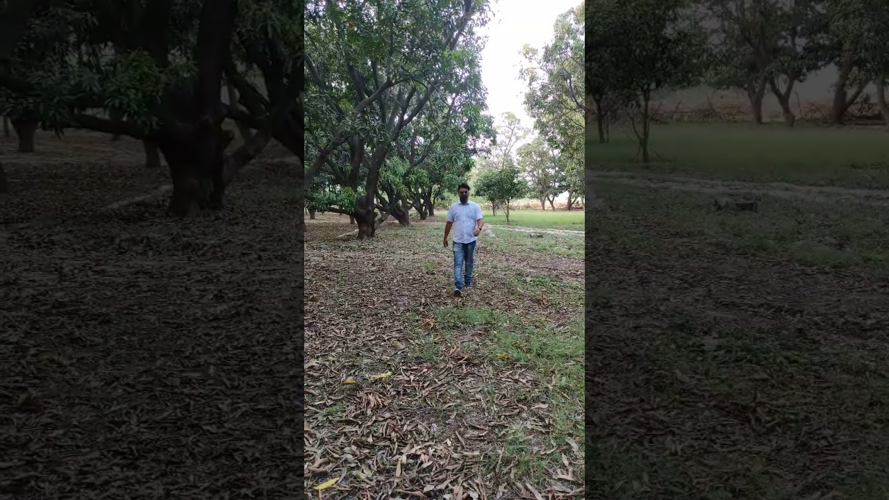 Farmhouse Visit 🏡 