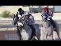 30th Al Uqda Race Meeting - End Of Year Cup