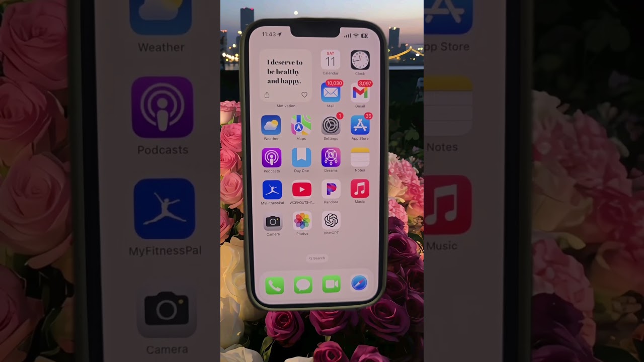 What’s on my Phone 