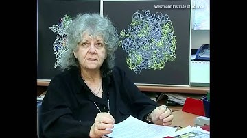 Nobel Prize in Chemistry 2009