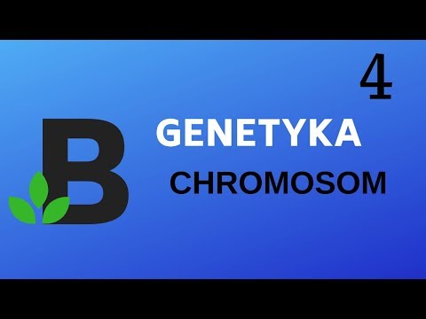 Wideo: Chromoanageneza: Kataklizmy Za Złożonymi Rearanżacjami Chromosomów
