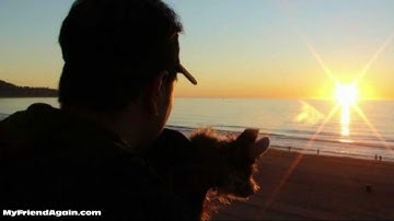 Dog Cloning I Cloned My Pet  Wolfie Part 1