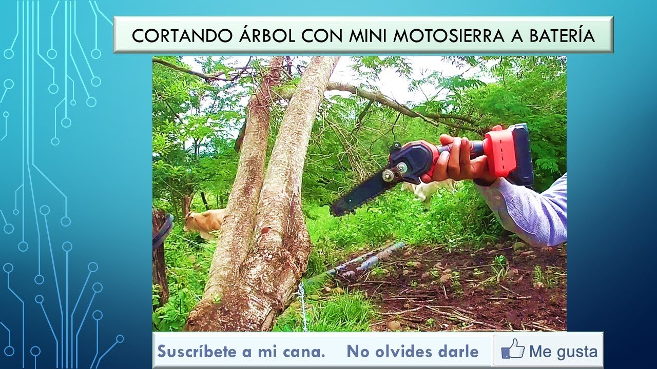 CORTANDO UN ARBOL CON LA MINI MOTOSIERRA A BATERIA