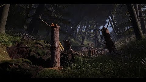 Realistic Forest Scene created in Unreal Engine 4