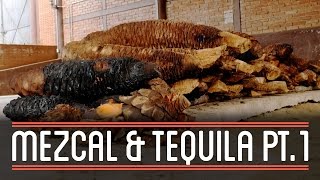 Mezcal and Tequila (1/3) | How to Brew Everything