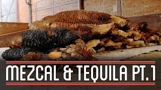 Mezcal (1/3) | How to Brew Everything: Mezcal and Tequila