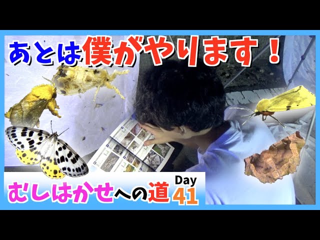 41-④.【存続の危機!?】企画を乗っ取られました[昆虫探検1600