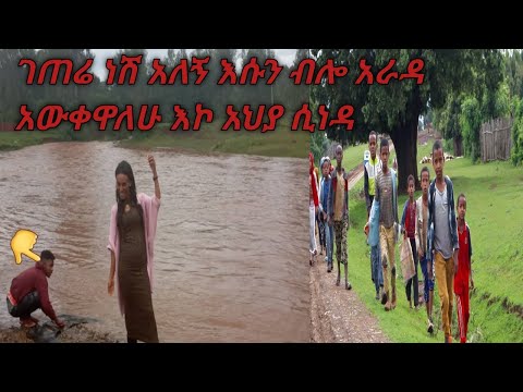 ቪዲዮ: ለበቀቀን እራስዎ ያድርጉት። ለቀቀን ቋት እንዴት እንደሚሰራ