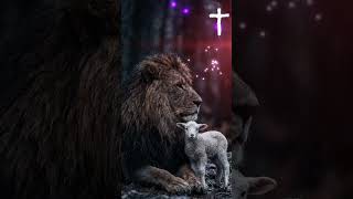 worship | daily worship | blessings | blessed day #blessings #blessedday
