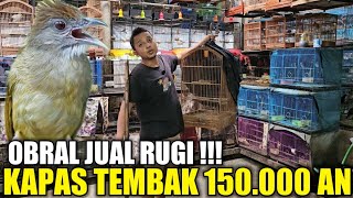 Download Lagu GA RUGI TA ! MAS DIDI BIKIN PARAMUKA KETAR KETIR !!! KAPAS TEMBAK DIBANDROL 150.000 AN HARI INI MP3 Download Lagu GA RUGI TA ! MAS DIDI BIKIN PARAMUKA KETAR KETIR !!! KAPAS TEMBAK DIBANDROL 150.000 AN HARI INI MP3