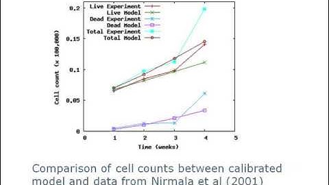 Analysis of a tumour growth model with MATLAB