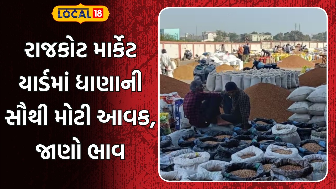 Rajkot APMC Market Bhav: રાજકોટ માર્કેટ યાર્ડમાં ધાણાની સૌથી મોટી આવક, જાણો ભાવ | Farmers | #local18