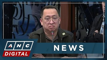 DPWH Engr. Protesta denies Curlee Discaya’s claim he was paid | ANC