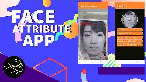 face attribute app