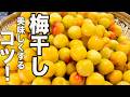 ジップロック梅干しレシピです♪