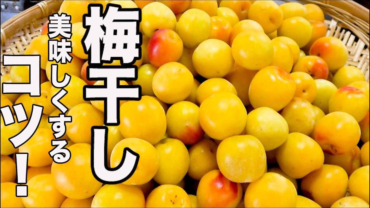 Easy Ziploc Umeboshi Recipe♪ - YouTube