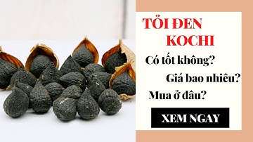 [Review] Tỏi đen kochi có tốt không, giá bao nhiêu và mua ở đâu?