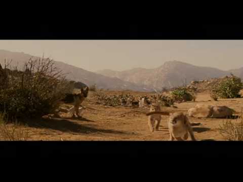 Beverly Hills Chihuahua - Chloe and Delgado - Lo P...