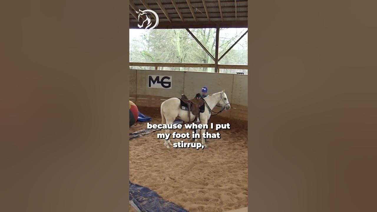 Colt Starting! Part 2! The Horse GuruMichael Gascon YouTube