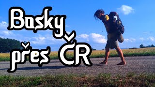 Bosky přes ČR