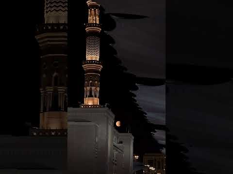 الشيخ أحمد بن طالب فإذا برق البصر و خسف القمر