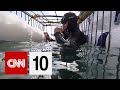 Understanding Great White Sharks' Behavior and Conservation