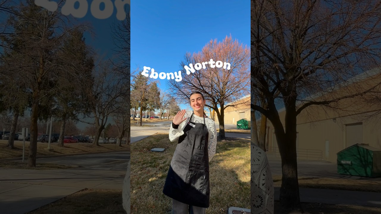 Заявка на стипендию Эбони Нортон в области красоты и здоровья, февраль 2026 г. @beautyschools