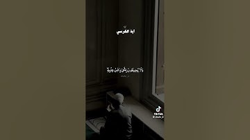 اية الكرسي/ راحة نفسية/ القرآن الكريم #gaza #القرآن_الكريم #لايك #yasseraldossary #اكسبلور #المصحف